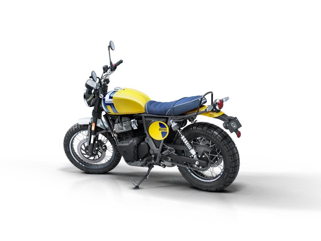 Bear 650