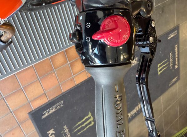 2026 Royal Enfield Bear 650