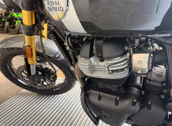2025 Royal Enfield Bear 650