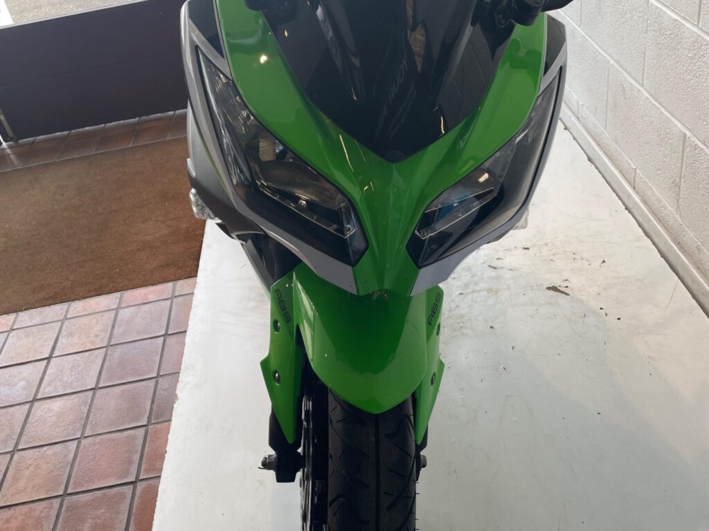 2015 Kawasaki Ninja 300