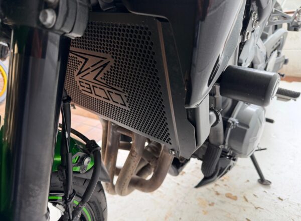 2019 Kawasaki Z900