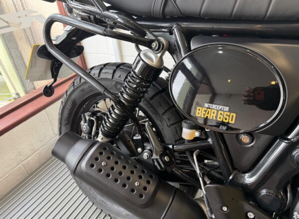 2025 Royal Enfield Bear 650