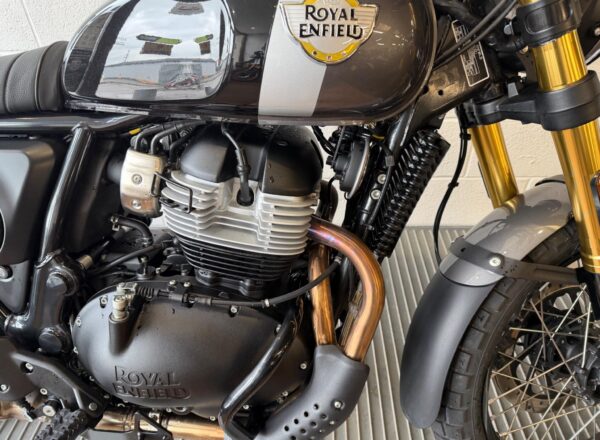 2025 Royal Enfield Bear 650
