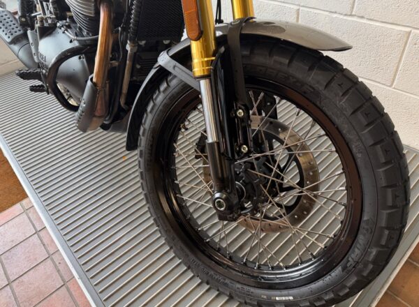 2025 Royal Enfield Bear 650