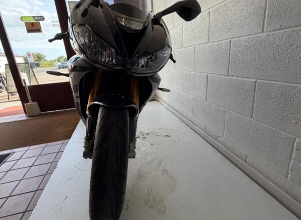 2019 Triumph Daytona Moto2 765