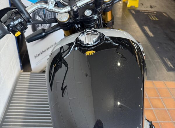 2025 Royal Enfield Bear 650