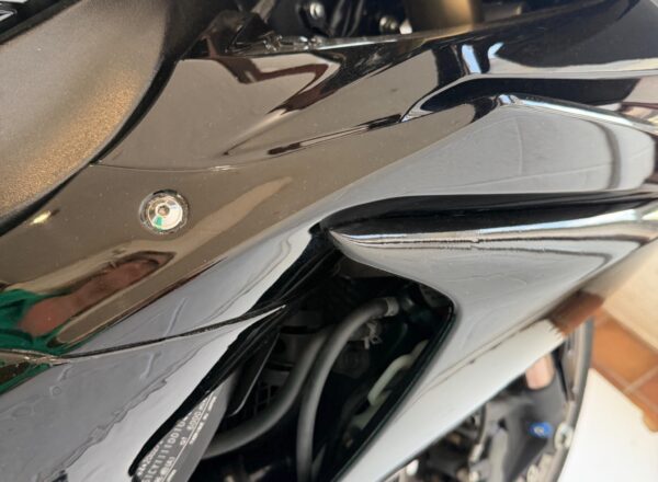 2010 Suzuki GSX-R1000