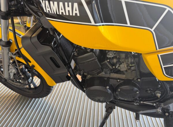 1981 Yamaha RD350