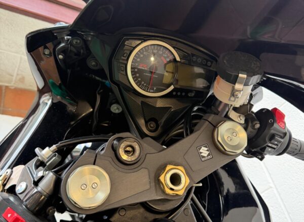 2010 Suzuki GSX-R1000
