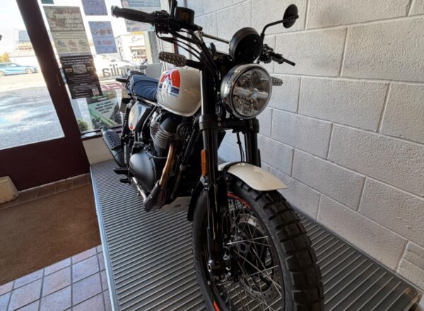 2026 Royal Enfield Bear 650