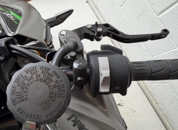 2026 Kawasaki Z1100